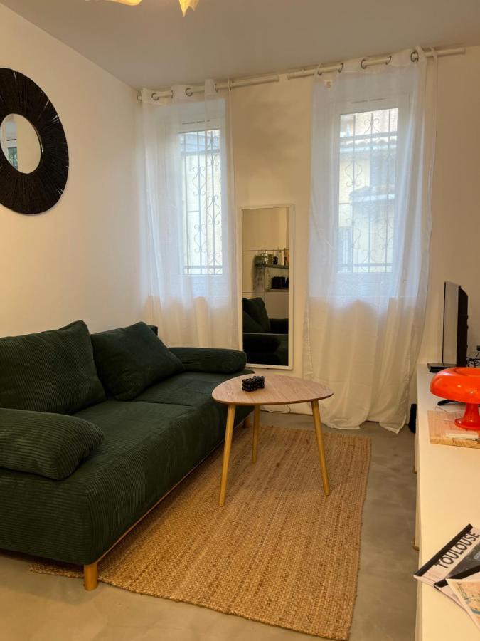 Logement De Charme Toulouse Extérieur photo